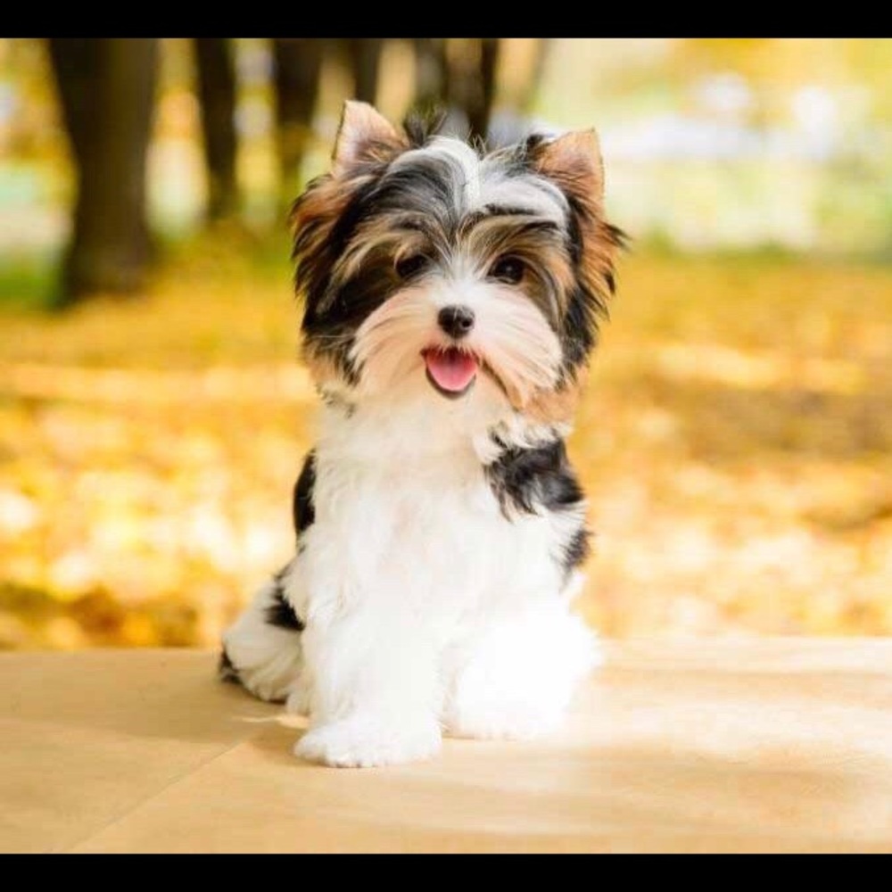 I ❤️ my Poshmark Family!🛍❤️Elle